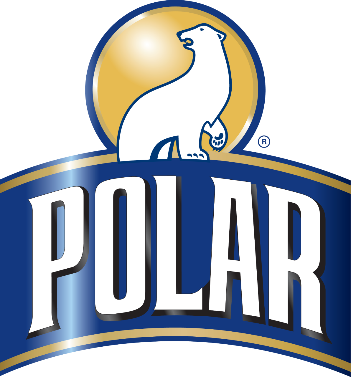 large-thumbnail_Polar Logo PNG (1)